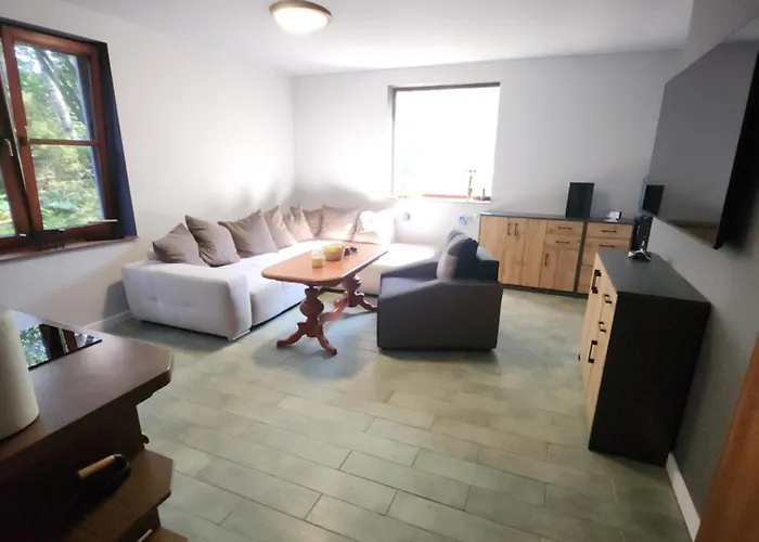 Wilcza Poreba Apartment